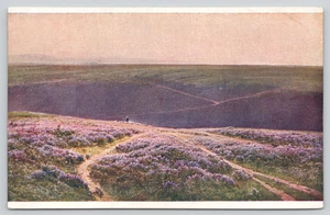 Postcard Field of Pink Purple Flowers based on Artist William Didier-Pouget - Imagen 1 de 2