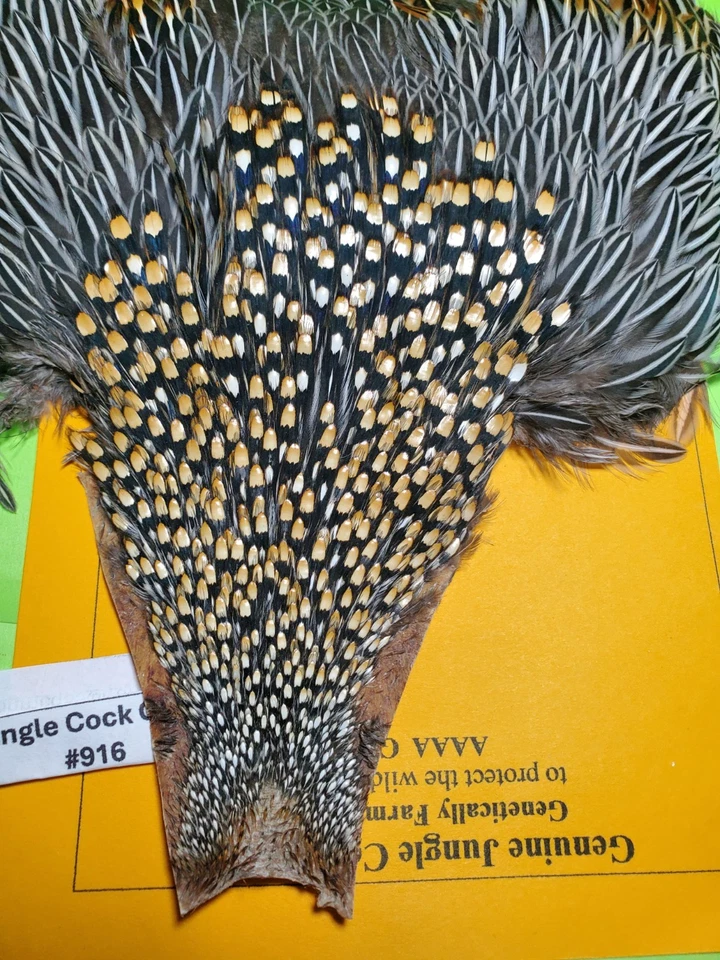 Jungle Cock Cape SUPER   AAAA 916 - Image 1 of 4