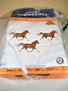 Mehrzweckpapier 96 hell 24 Pfund 11 Zoll x 17 Zoll weiß 500 Handwerk Zeichnen Kunst Hauptbuch - Bild 1 von 3