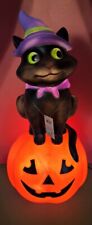 Cracker Barrel Blow Mold Cat With Pumpkin Lights Up Plastic Halloween NEW 2023