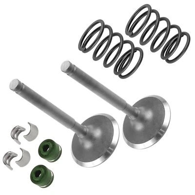 2x Kit de válvula de admisión para Kawasaki Mule 4010 Trans KAF620 4x4 2015 2016 2017-2023 Foto 1 de 4