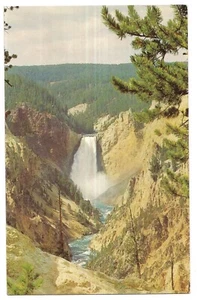 LOWER FALLS & GRAND CANYON Yellowstone National Park Wyoming Postcard WY - Picture 1 of 2