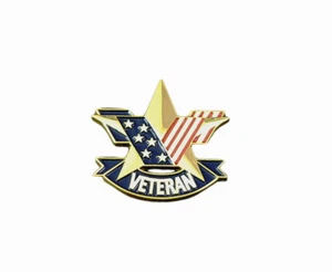 De lujo Estrella Dorada Veterano Bandera de EE. UU. Sombrero Solapa Pin Día de los Veteranos Militar LHP7237GD - Imagen 1 de 5