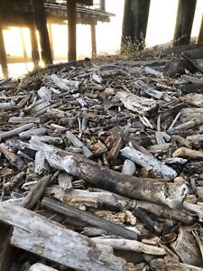 Bundle Of 25 Small Driftwood Pieces Craft Supply Lot