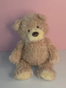Gund Stitchie Teddy Bear Fuzzy Stuffed Animal Plush 6047533 14" - Picture 1 of 10