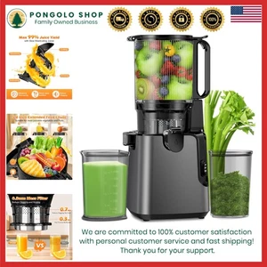 Exprimidor de prensa en frío sin esfuerzo con conducto de alimentación de 5,8" - 400 W de potencia, gris titanio - Imagen 1 de 9