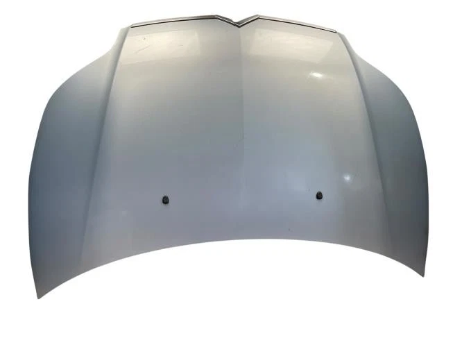 Capot CITROEN C4 1 PHASE 1 COUPE 00007901L1 - Photo 1/4