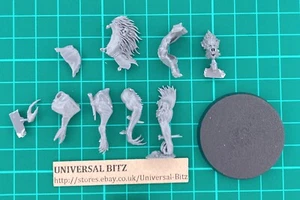 Offal Hound C Royal Beastflayers Warcry Flesh-eater Courts Single I4 C - Bild 1 von 1