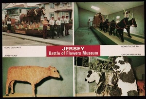 Battle Of Flowers Jersey Channel Islands Postcard - Picture 1 of 2