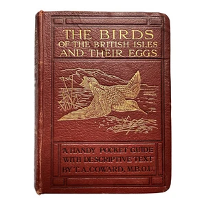 The Birds of the British Isles and Their Eggs Series II Coward 1920 Warne 376 pp - Foto 1 di 18