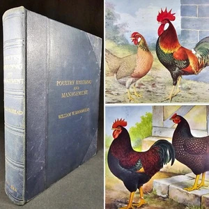 c1937 [4to] Poultry Breedings and Management by Broomhead COL PLATES Scarce - Bild 1 von 16