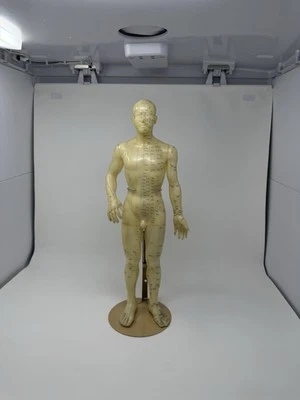 Muñeca modelo masculina acupuntura acupresión 20" de alto de goma china con soporte Foto 1 de 4