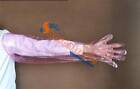 50pcs Bag Disposable Artificial Insemination Gloves Vet Farm Use Arm Length