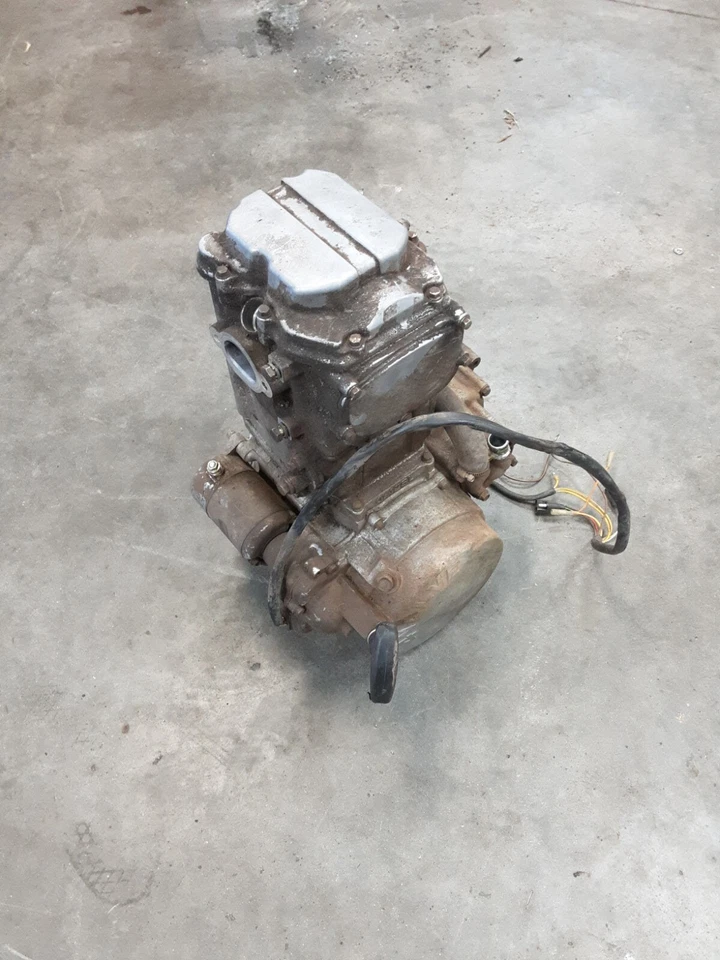 Polaris Magnum 1995 95 2x4 425cc motor principal plateado montaje completo  Foto 1 de 4