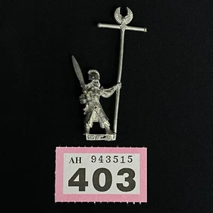 Alto Elfo Portador Estandarte Warhammer Fantasía Batalla Oldhammer Héroe Comando - Imagen 1 de 1