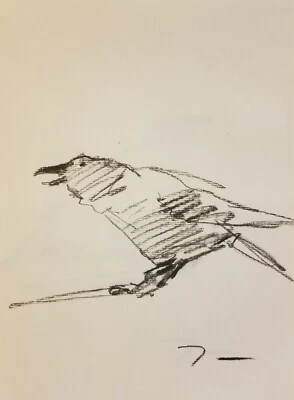 JOSE TRUJILLO Original Cuervo Pájaro FIRMADO Papel Carbón Dibujo 9X12 Cuervo Foto 1 de 4