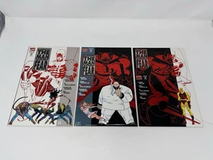 Daredevil The Man Without Fear 1993 & 1994 COMICS  Dec #3, Jan #4, Feb #5 VTG - Picture 1 of 22