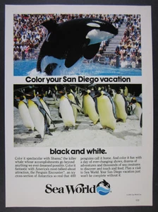 1985 Shamu foto de orca SeaWorld Sea World San Diego anuncio impreso vintage - Imagen 1 de 1