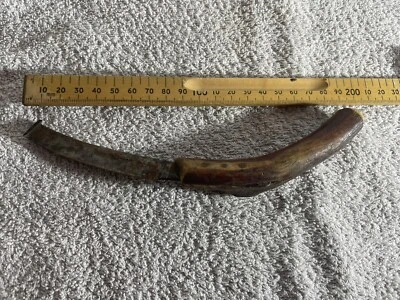 Antique Farrier tool - Image 1 of 4