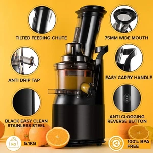 Juicer for Auction Masticating Whole Fruits and Vegetables Easy Carry - Picture 1 of 7