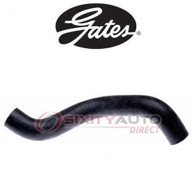 Gates Lower Radiator Coolant Hose for 2005-2006 Chevrolet Uplander 3.5L V6 - yt - Image 1 of 4