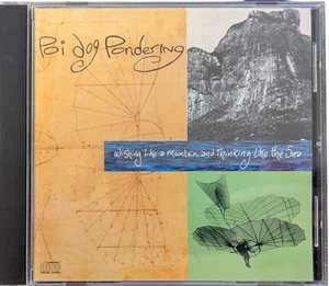 Poi Dog Pondering - Wishing Like A Mountain and Thinking Like The Sea (CD, 1990) - Bild 1 von 2
