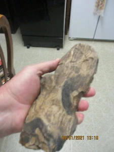 SUccor Creek Petrified Wood Hunk  9" long 3.5" wide 2" thick  varies Nice Displa - Picture 1 of 2