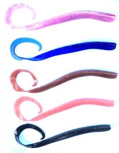 XL Grandi Esemplari Vermi - Esche Morbide Gelatina Coda Ripple per Bass Pollock Bass - Foto 1 di 1