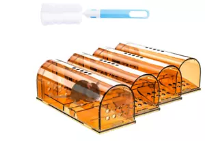 Humane Mouse Traps 4 Pack Live Catch and Release Mousetrap Brown NEW - Picture 1 of 6