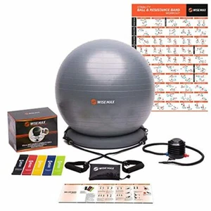 WISEMAX Exercise Ball Chair – Stability Yoga Balance Ball with Inflatable Ring - Picture 1 of 7