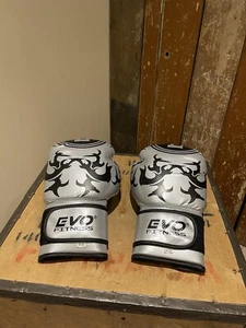 Guantes de Boxeo Evo Fitness Deportes Artes Marciales Sparring Kick Boxing Plateados 16 Oz - Imagen 1 de 19