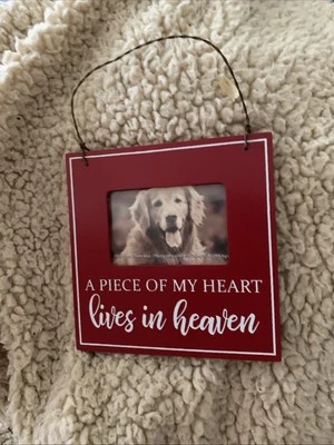 Marco de fotos conmemorativo de mascotas Foto 1 de 3