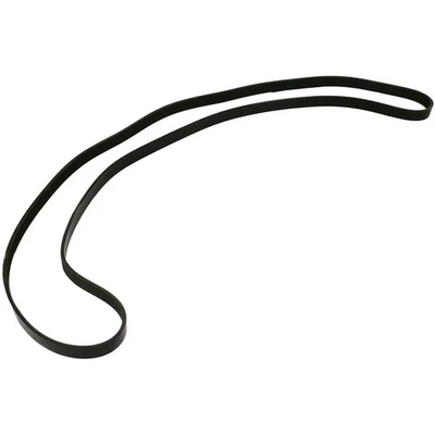 Drive Belt For 1997-2011 Ford Ranger Main Drive - Image 1 of 4