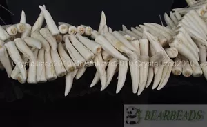 White Blue Mixed Howlite Turquoise Stick Animal Tooth Shape Spacer Beads 16" - Picture 1 of 24