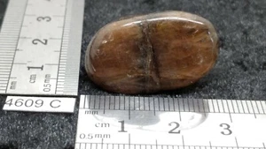 CHIASTOLITE ANDALOUSITE - pierre roulee naturelle - mineraux lithotherapie reiki - Picture 1 of 3