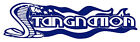 STANG NATION Stangnation ford Logo Wall / Car Decal Sticker, Highest Quality