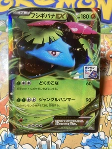 Venusaur EX 233/XY-P Japanese Gym Challenge Promo Pokemon US Seller - Bild 1 von 8