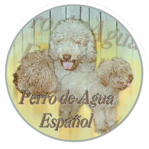 Aufkleber Motiv 1 Perro de Agua Espanol Spanischer Wasserhund Autoaufkleber - Bild 1 von 1