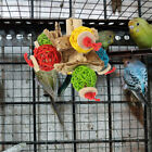 Bird Chewing Foraging Toys Colorful Paper Cage Pendant Parrot Wooden