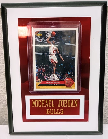 Chicago Bulls Cover