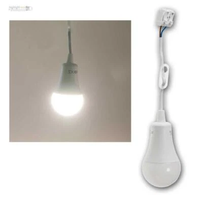 LED Baustellen-Leuchte A60 mit Kabel 12W Renvier-Fassung-Lampe-Leuchte 230V 220° - Bild 1 von 4