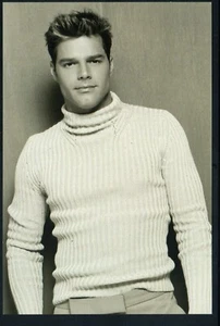 Ricky Martin Photocards Panini Official Licensed Collectible Photos - Imagen 1 de 18