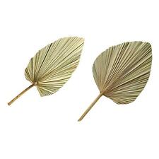Natural Trimmed Dried Palm Leaves, Dried Palm Spear, Home Boho Wedding Decor,