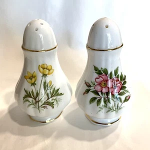 Vintage Paragon Salt Pepper shakers England 1956 Floral fine bone china - Picture 1 of 7