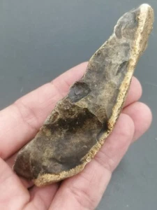 Early Middle Paleolithic Neanderthal Mousterian Backed Knife North of France - Picture 1 of 18