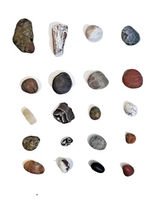 Lot of 20 S Pebbles Rocks Agate Fossilized Coral Petrified Wood California Beach - Picture 1 of 8