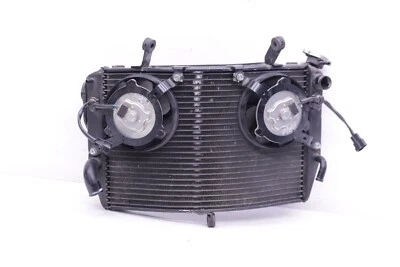 04 05 06 Yamaha YZF R1 2005 OEM RADIADOR CELDA DE REFRIGERACIÓN VENTILADOR MOTOR TUMBAS TAPA Y110 Foto 1 de 4