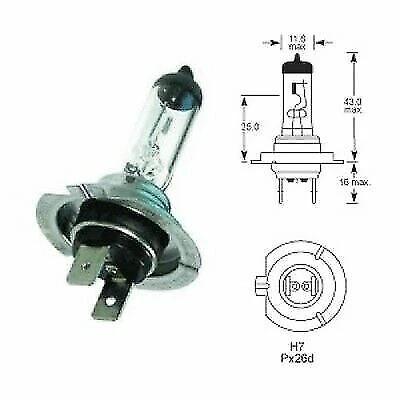 2 bombillas halógenas Auto Champ H7 12V 55W_H-7 bombillas faros Foto 1 de 1