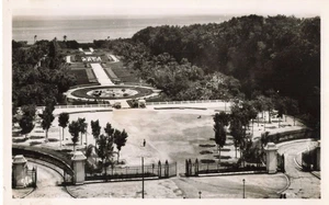 Postcard Alger Algeria Experimental Garden Real Photo - Picture 1 of 2