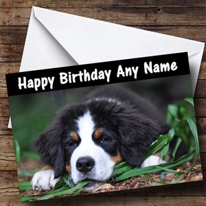 Bernese Mountain Dog Personalised Birthday Greetings Card